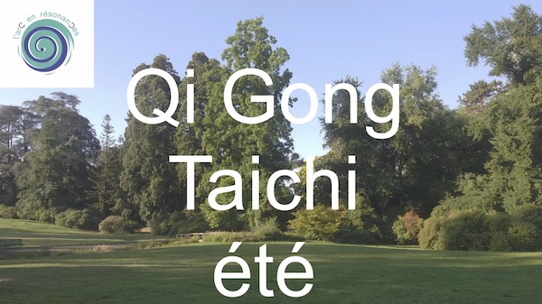 Qi Gong et Taichi au parc, &eacute;t&eacute;